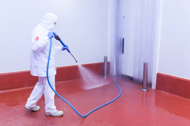 Best Solar Panel Cleaning  in Hooverson Heights, WV